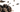 Hermani Recipe: Veal Stew with Morels